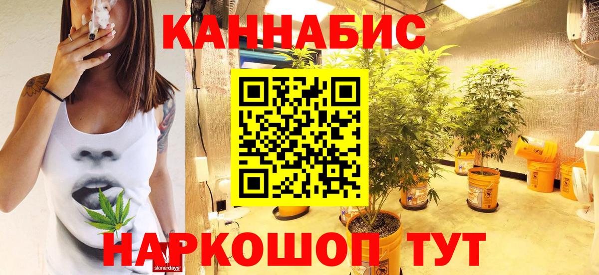 Конопля марихуана Апатиты